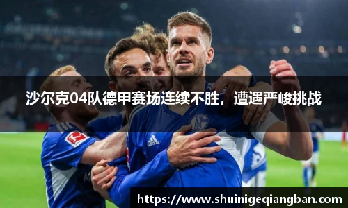 沙尔克04队德甲赛场连续不胜，遭遇严峻挑战
